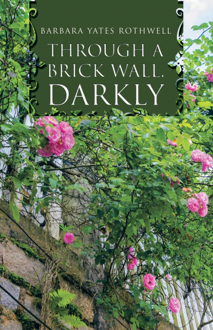 THROUGH A BRICK WALL, DARKLY