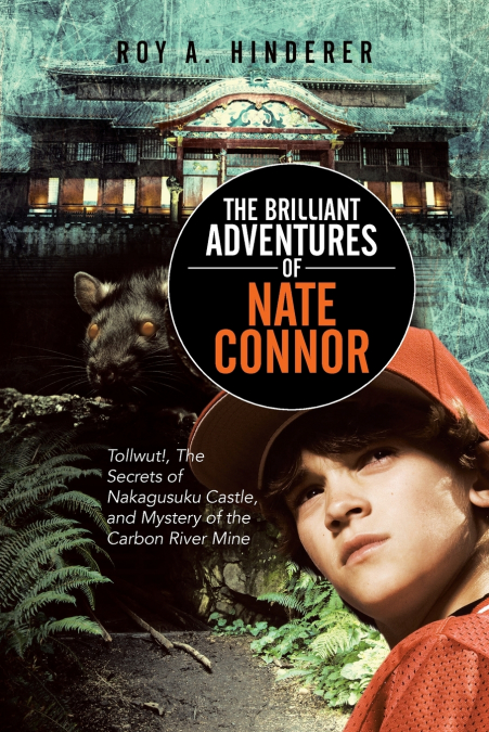 THE BRILLIANT ADVENTURES OF NATE CONNOR