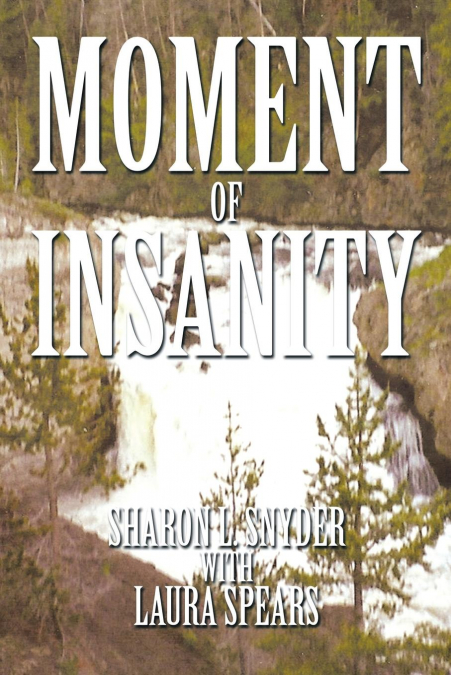 MOMENT OF INSANITY