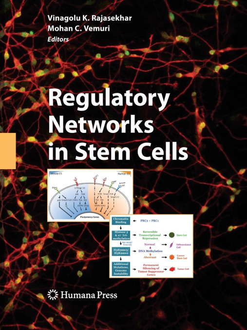 REGULATORY NETWORKS IN STEM CELLS