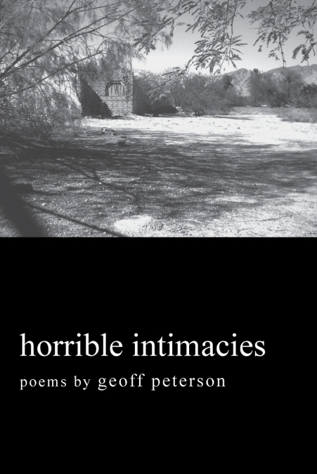 HORRIBLE INTIMACIES