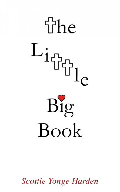 THE LITTLE BIG BOOK