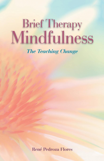 BRIEF THERAPY MINDFULNESS