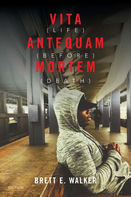 VITA ANTEQUAM MORTEM