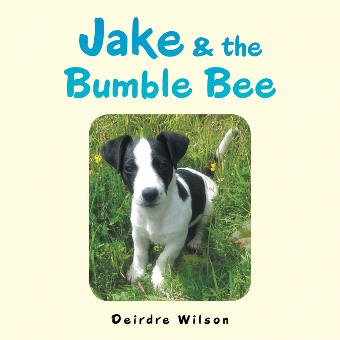 JAKE & THE BUMBLE BEE