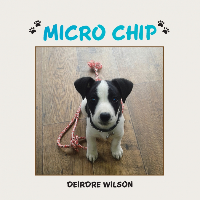 MICRO CHIP