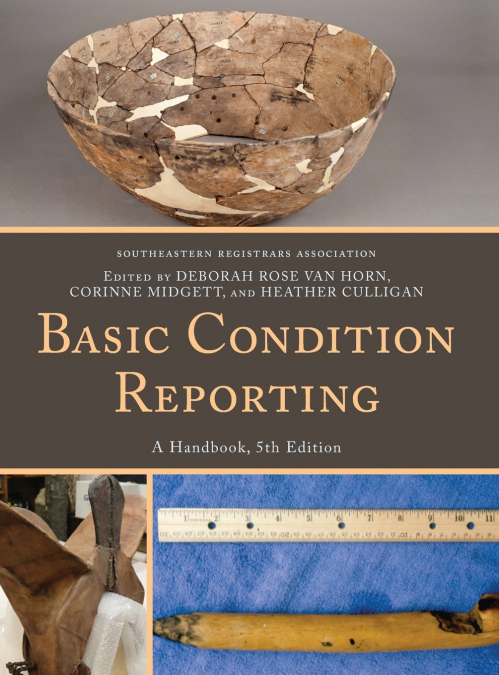 BASIC CONDITION REPORTING