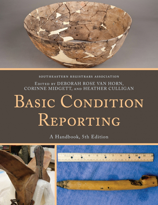 BASIC CONDITION REPORTING