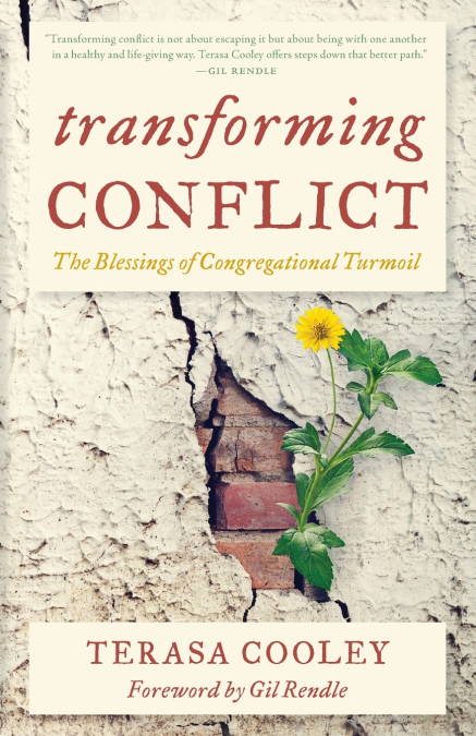 TRANSFORMING CONFLICT