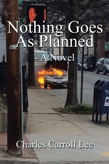 NOTHING GOES AS PLANNED - A NOVEL