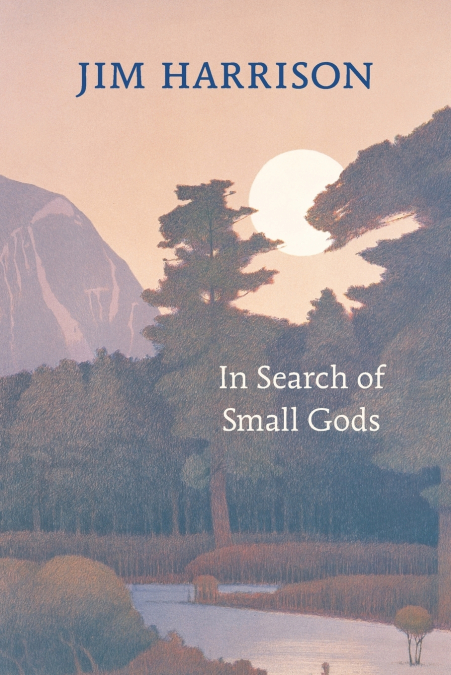 IN SEARCH OF SMALL GODS