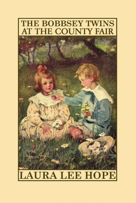 THE BOBBSEY TWINS AT SCHOOL