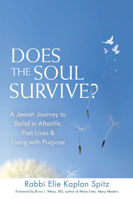 DOES THE SOUL SURVIVE? (2ND EDITION)