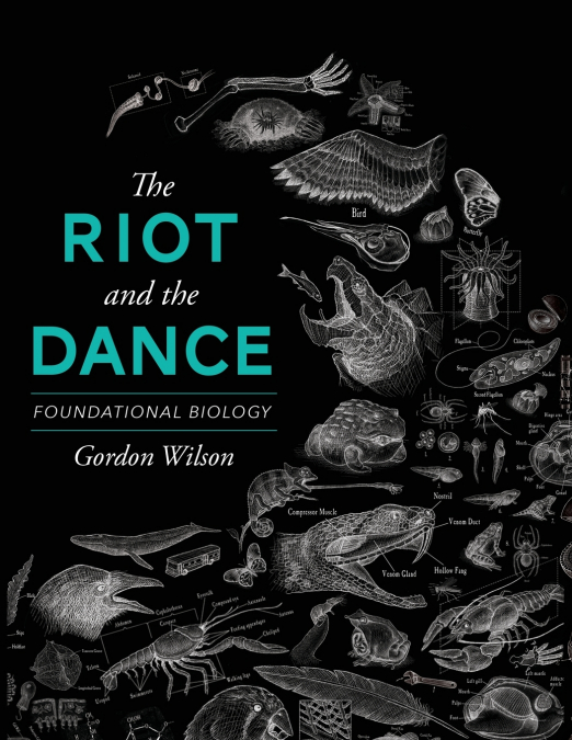 THE RIOT AND THE DANCE