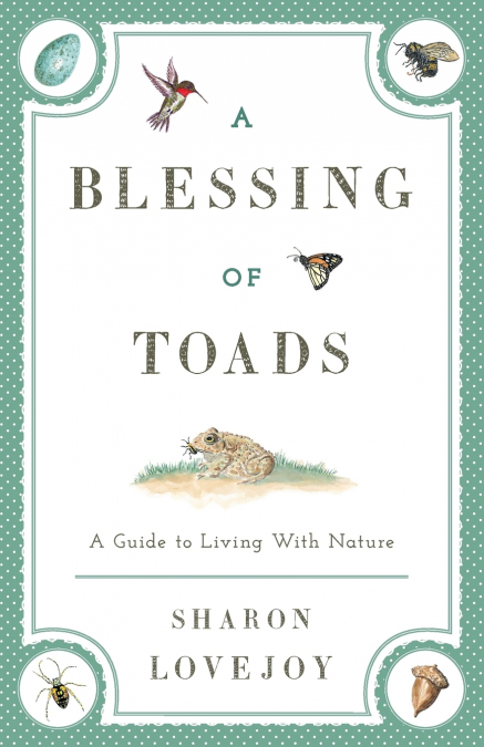 A BLESSING OF TOADS