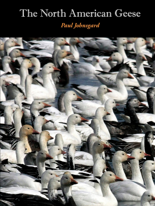 THE NORTH AMERICAN GEESE
