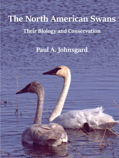 THE NORTH AMERICAN SWANS