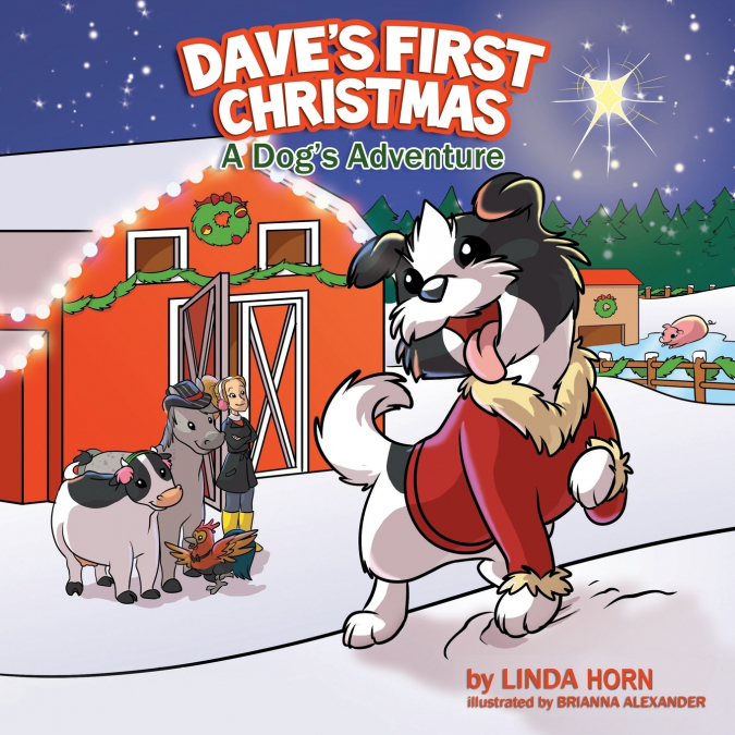 DAVE?S FIRST CHRISTMAS