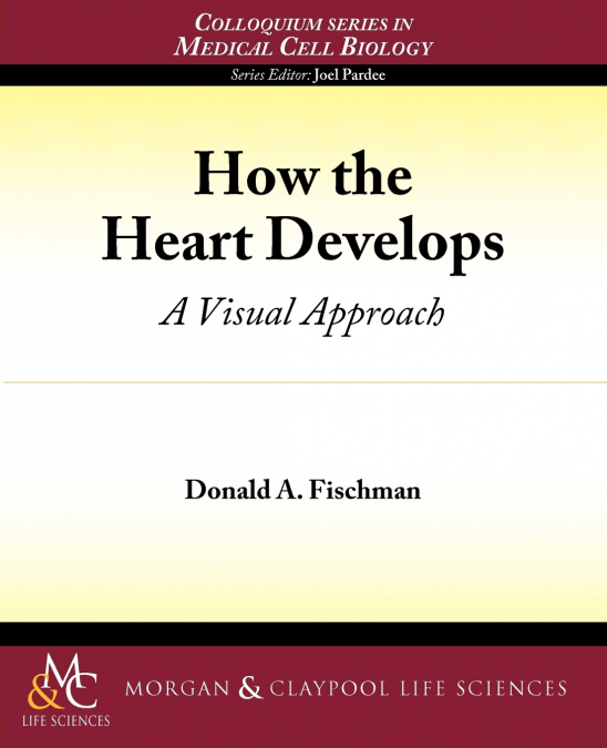 HOW THE HEART DEVELOPS