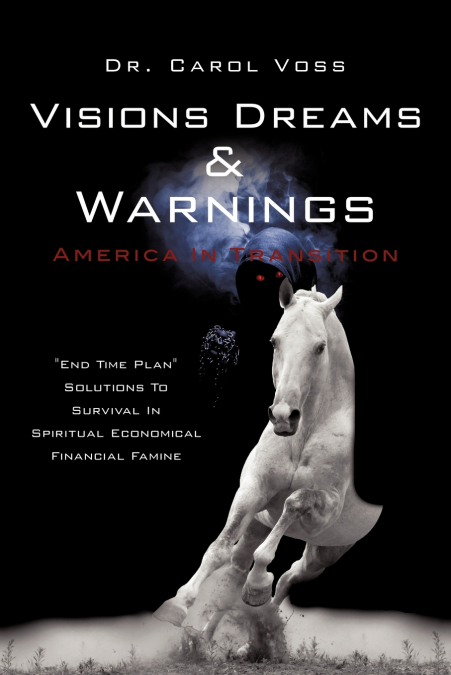 VISIONS DREAMS AND WARNINGS AMERICA IN TRANSITION