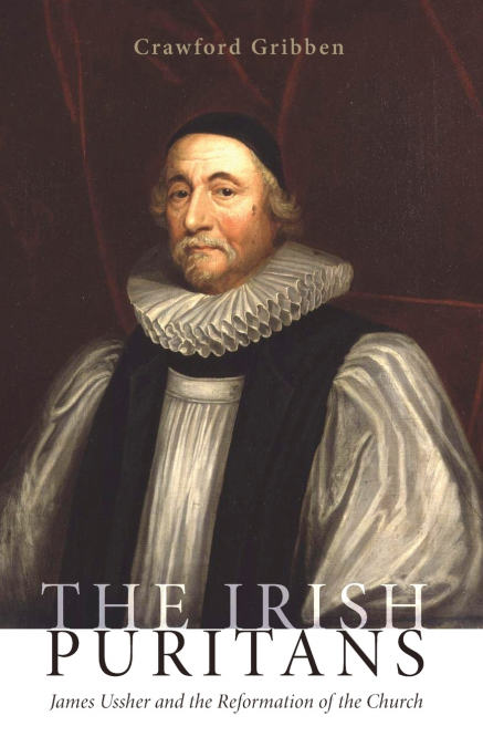 THE IRISH PURITANS