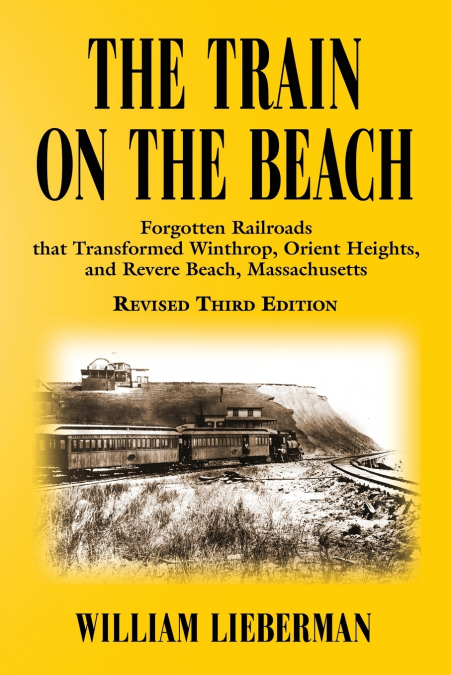THE TRAIN ON THE BEACH