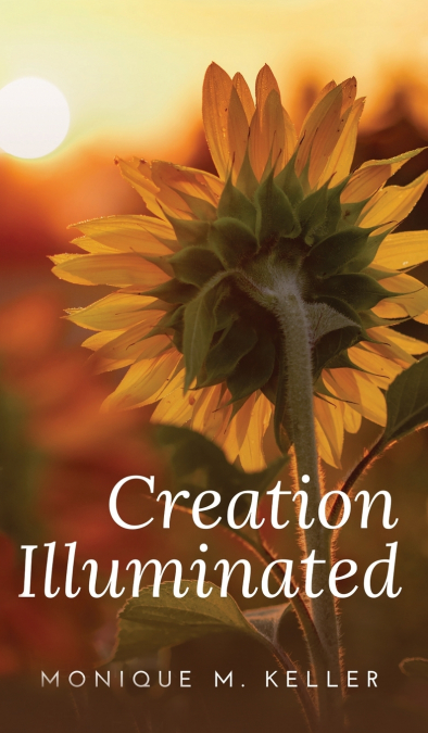 CREATION ILLUMINATED