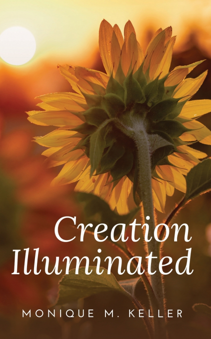 CREATION ILLUMINATED
