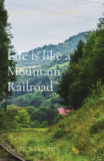 LIFE IS LIKE A MOUNTAIN RAILROAD