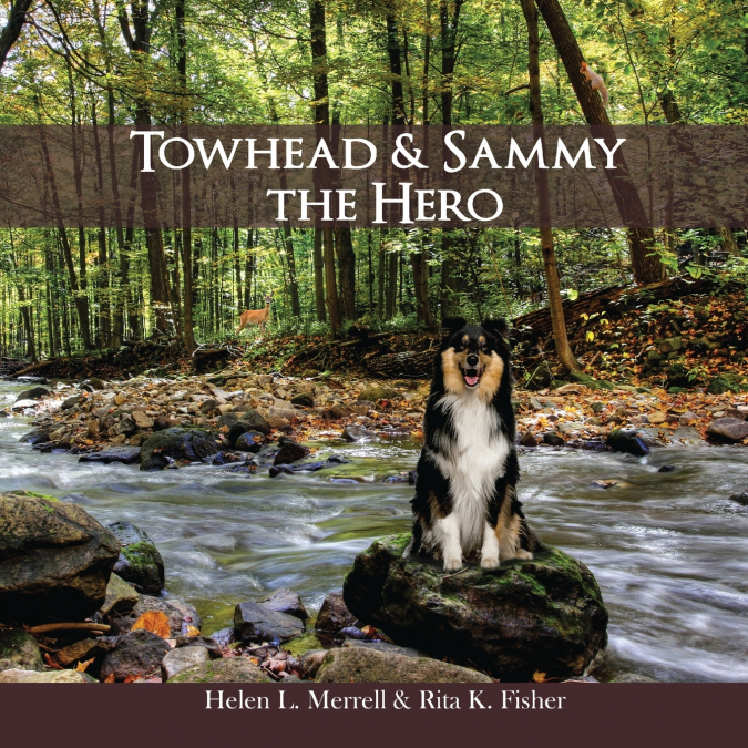 TOWHEAD AND SAMMY THE HERO