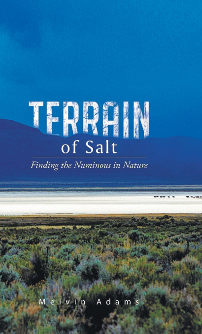 THE SAGEBRUSH CURTAIN