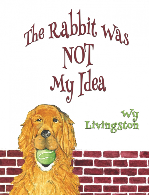 THE RABBIT WAS NOT MY IDEA