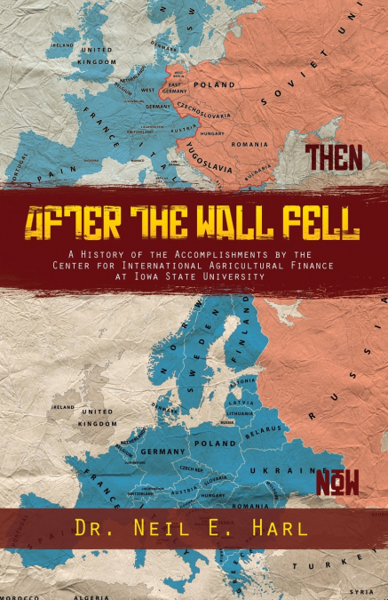 AFTER THE WALL FELL