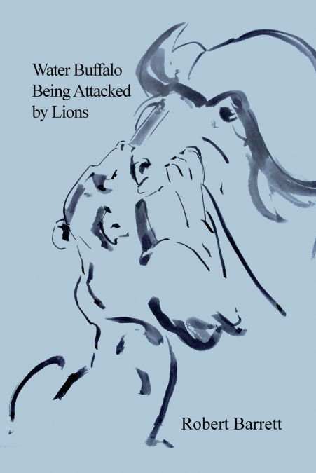 WATER BUFFALO BEING ATTACKED BY LIONS