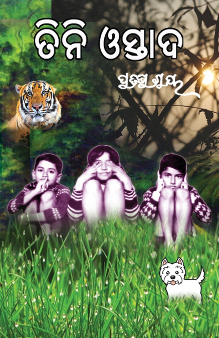 TINI OSTAD