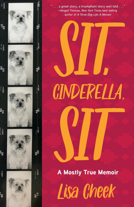SIT, CINDERELLA, SIT