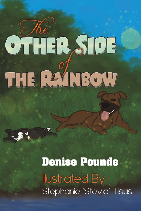 THE OTHER SIDE OF THE RAINBOW