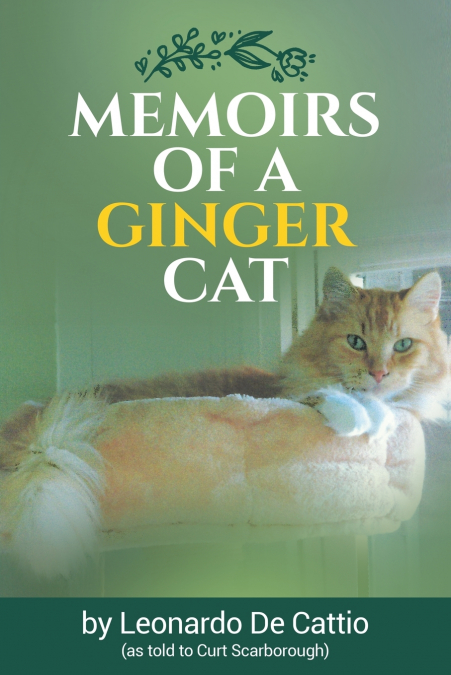 MEMOIRS OF A GINGER CAT