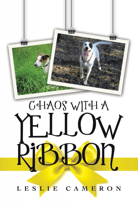 CHAOS WITH A YELLOW RIBBON