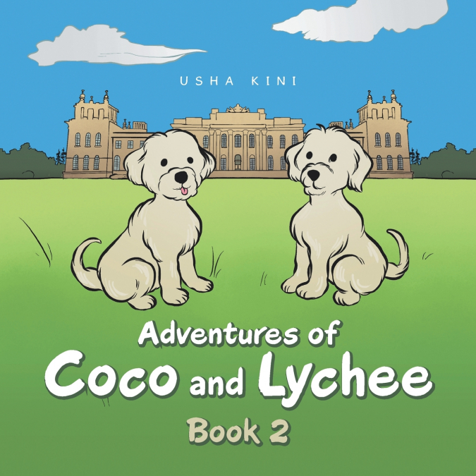 ADVENTURES OF COCO AND LYCHEE