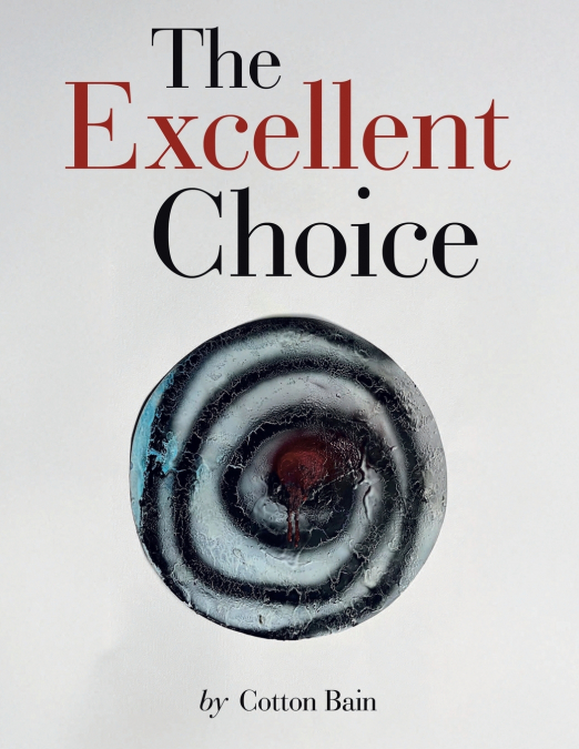 THE EXCELLENT CHOICE