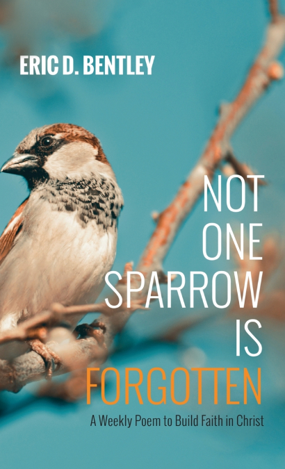NOT ONE SPARROW IS FORGOTTEN