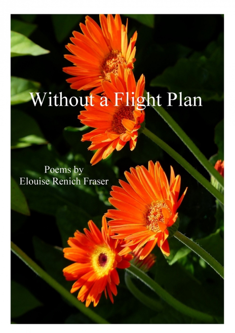WITHOUT A FLIGHT PLAN