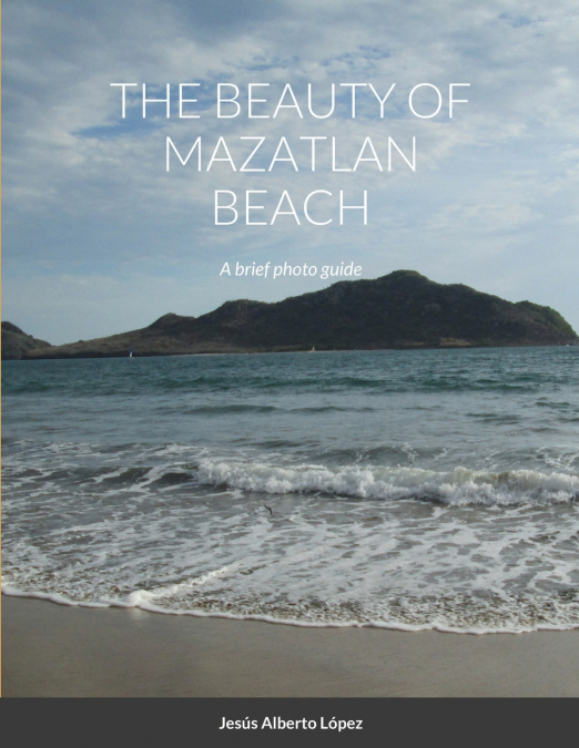 THE BEAUTY OF MAZATLAN BEACH - A BRIEF PHOTO GUIDE