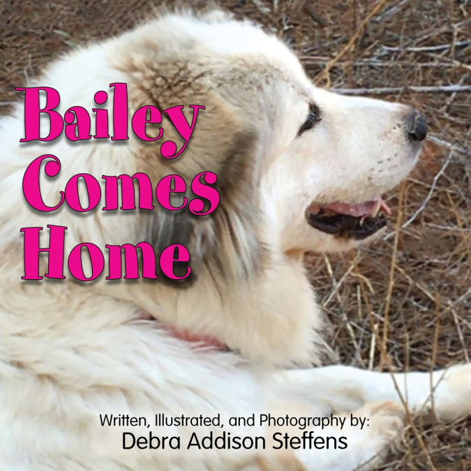 BAILEY COMES HOME