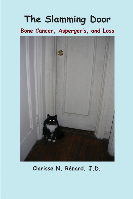 THE SLAMMING DOOR