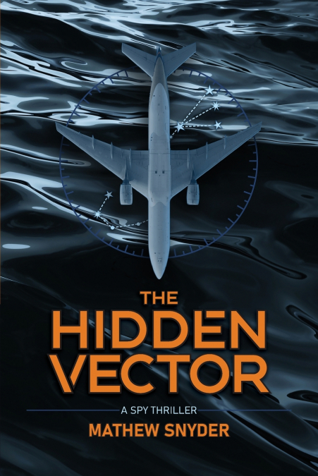 THE HIDDEN VECTOR