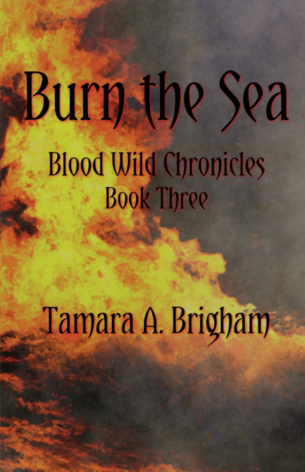 BURN THE SEA
