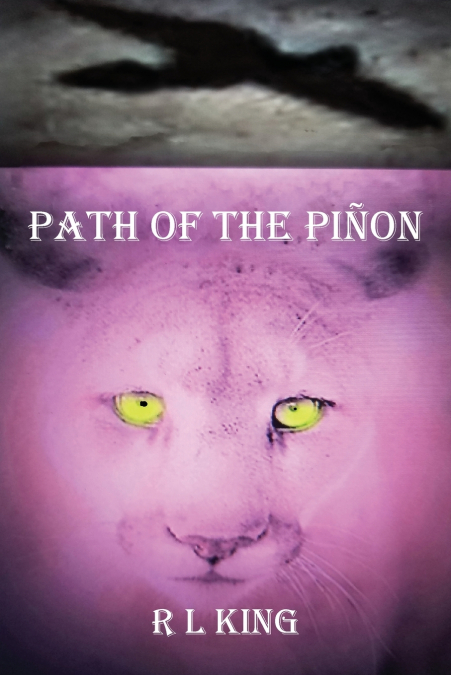PATH OF THE PION