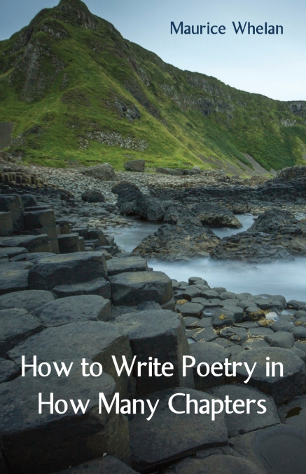 HOW TO WRITE POETRY IN HOW MANY CHAPTERS
